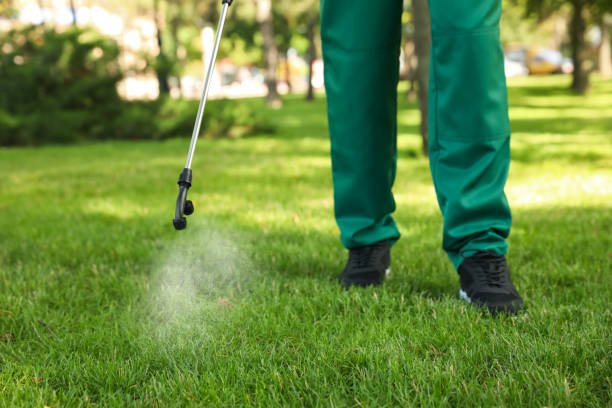 Best Affordable Pest Control Services  in Erwin, NC