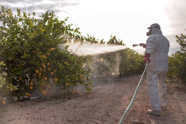 Best Emergency Pest Control  in Erwin, NC