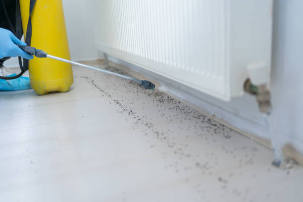 Best Exterminator Services  in Erwin, NC