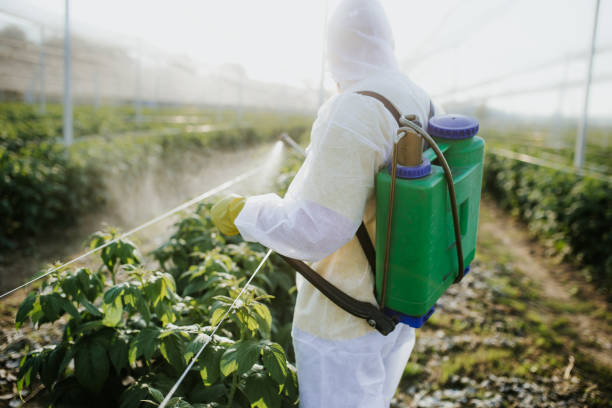 Best Pest Prevention Services  in Erwin, NC